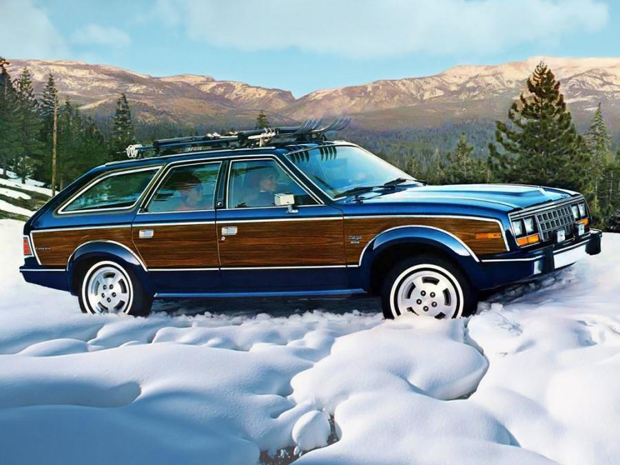  AMC Eagle Wagon 1985 года  (фото 1 из 3)
